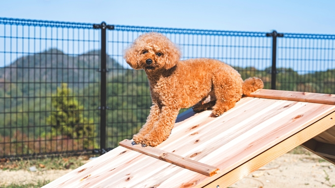 愛犬と一緒♪【素泊り】＜食材、飲み物持込み自由＞本格BBQグリルで思いのままにアウトドア体験！